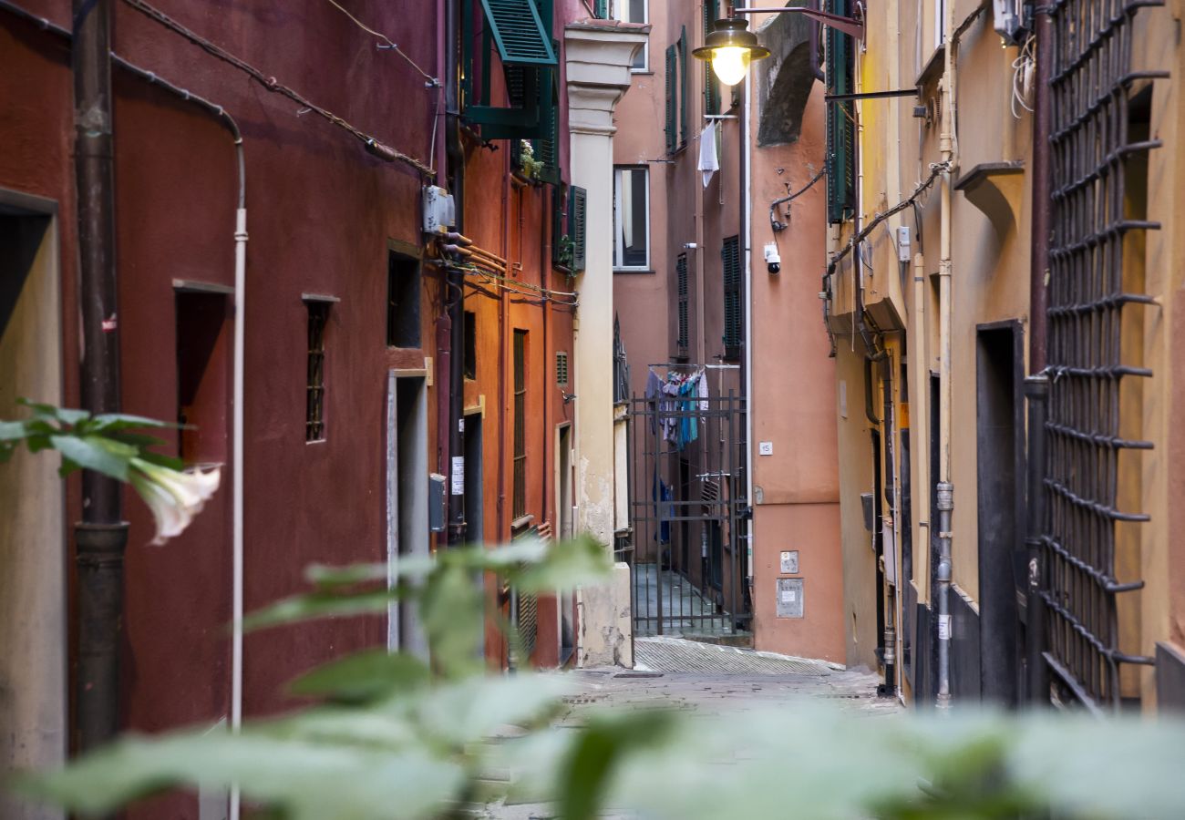 Appartamento a Genova - Il Cioccolatino del Carmine - Vico del Cioccolatte