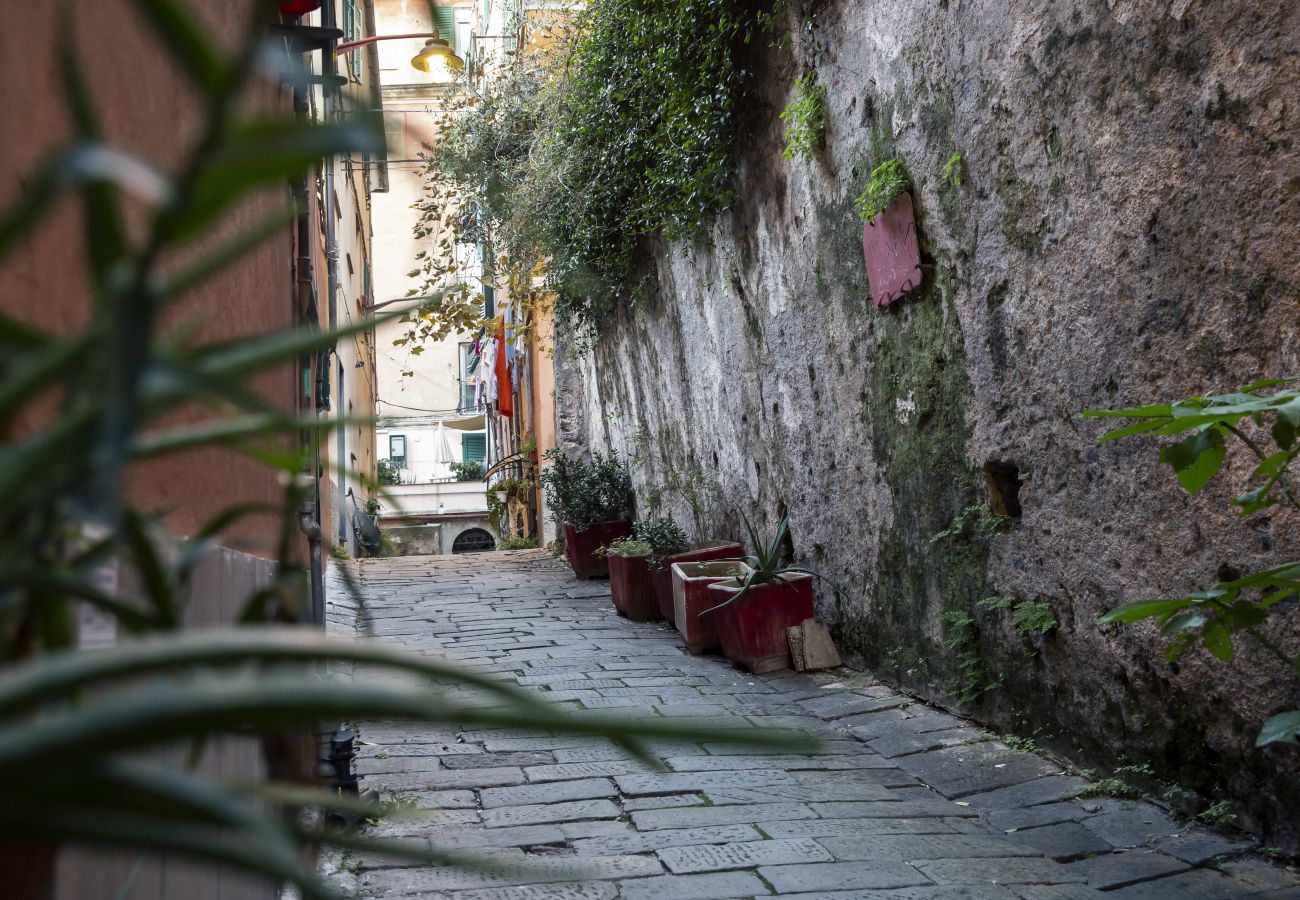 Apartment in Genoa - Il Cioccolatino del Carmine - Vico del Cioccolatte