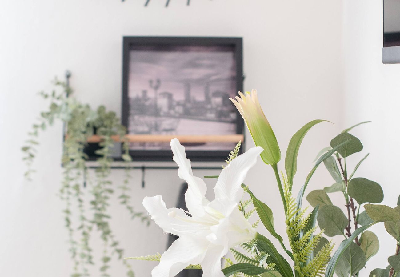 Apartment in Bologna - Casa Bax - Via Triachini 8