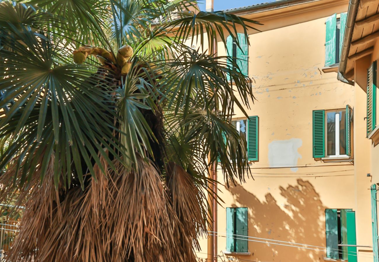 Apartment in Bologna - La Dimora di Lina - Vicolo Spirito Santo 1